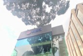 Chính chủ cho thuê tòa nhà 4 tầng mặt tiền Phạm Ngọc Thạch